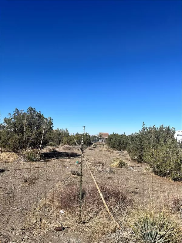Phelan, CA 92371,0 Beekley