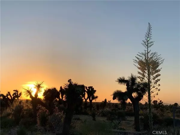 Phelan, CA 92371,1 Yucca Terrace DR