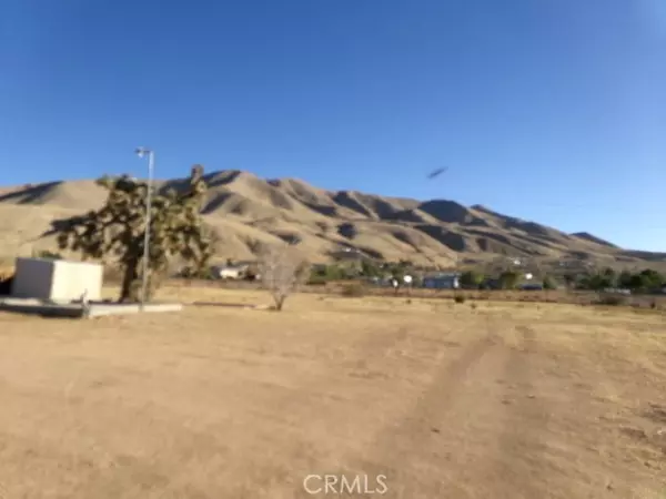 Apple Valley, CA 92308,9193 Joshua