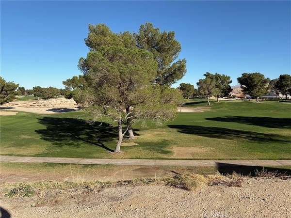 Helendale, CA 92342,27449 Lakeview