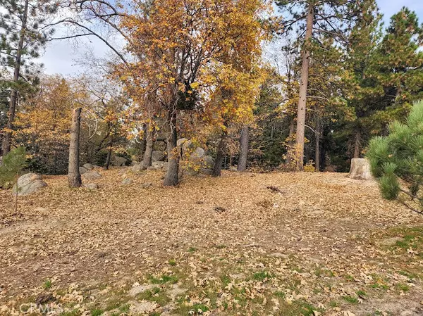 32240 Whisper, Running Springs, CA 92382