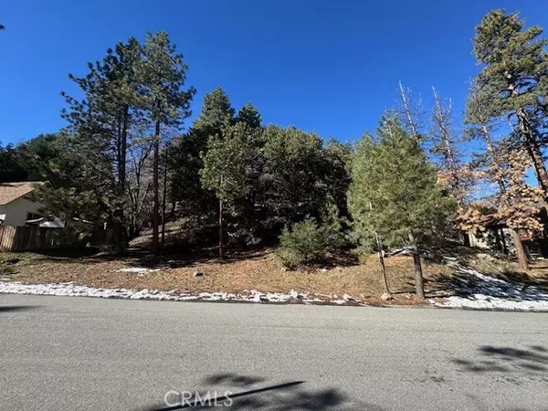 0 Flume Canyon, Wrightwood, CA 92397