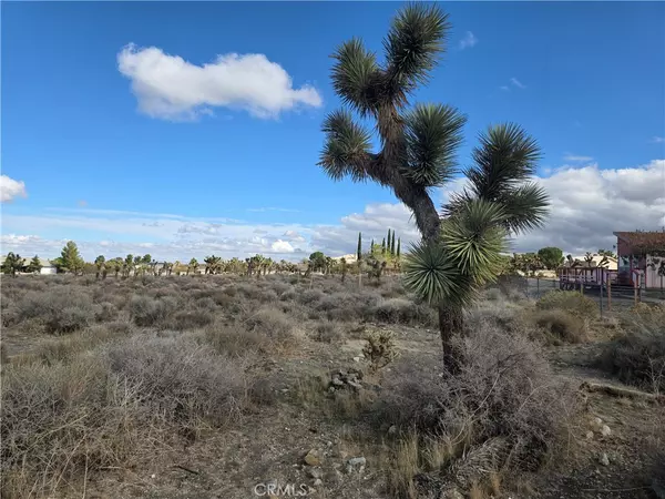 Pinon Hills, CA 92372,1 Goss RD