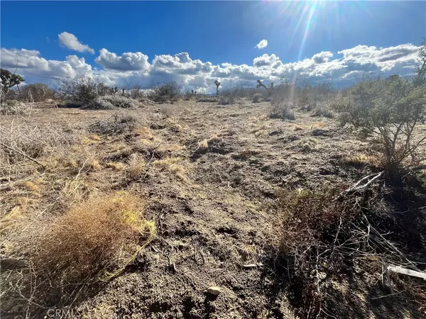 Phelan, CA 92371,1 Greasewood Ln