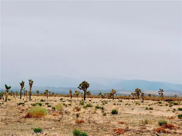 Pinon Hills, CA 92372,12452 Golden View