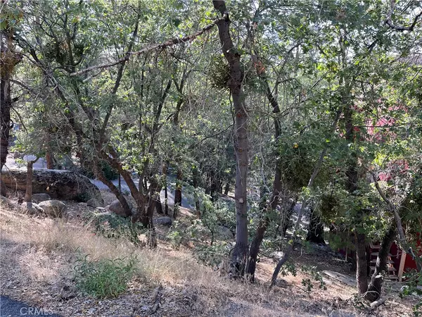 Arrowbear, CA 92382,24 Lot 24 Conway DR
