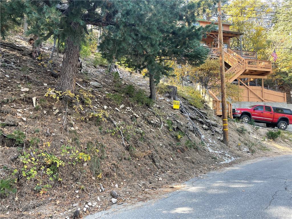 Twin Peaks, CA 92391,29 Lot 29 Forest LN