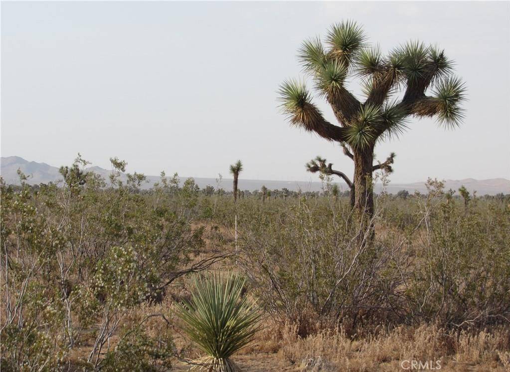 0 3129-171-06-0000 Caughlin RD, Adelanto, CA 92301