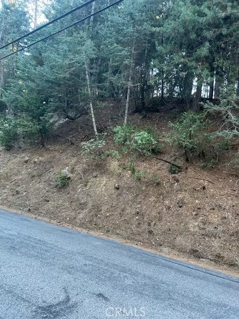 Twin Peaks, CA 92391,0 Lake Forest DR