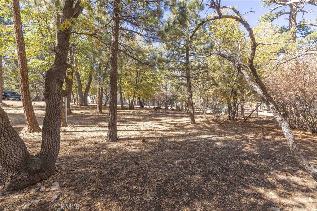 Sugarloaf, CA 92386,719 Wabash LN