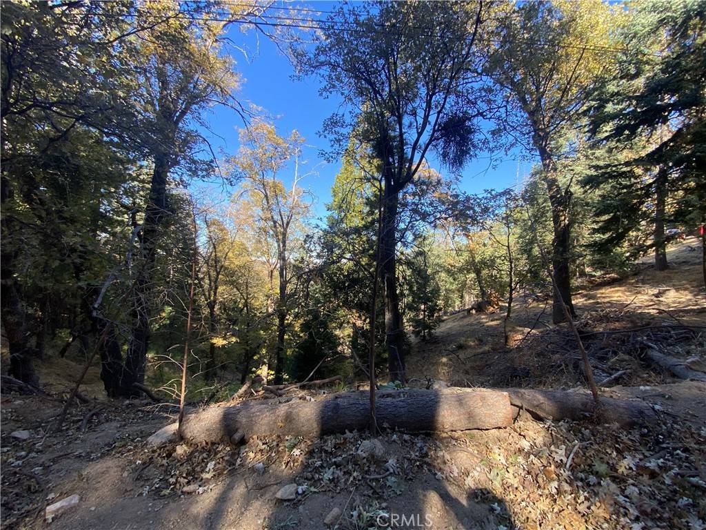 Crestline, CA 92325,24989 Highland DR