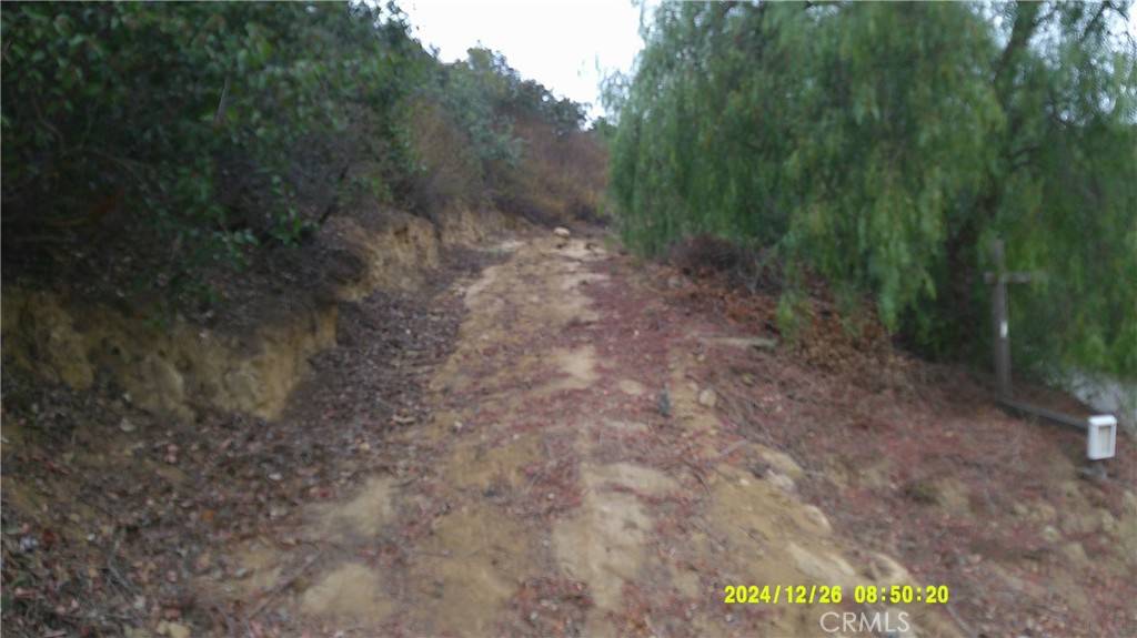 Chino Hills, CA 91709,16798 Hillside DR