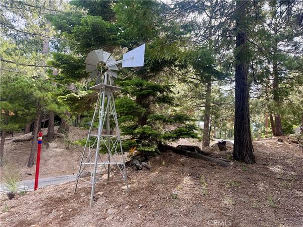 Lake Arrowhead, CA 92352,514 Grizzly RD