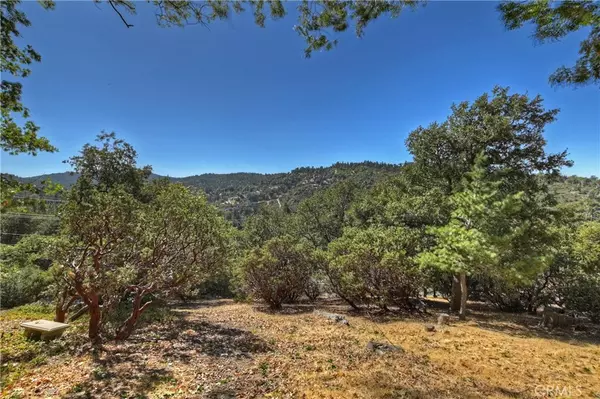 Lake Arrowhead, CA 92352,0 Grass Valley RD