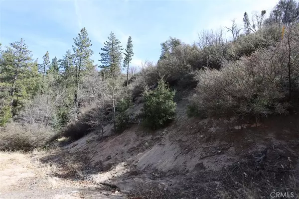 Cedar Glen, CA 92321,717 Acacia RD