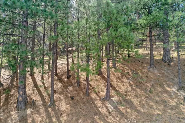 Running Springs, CA 92382,0 Pixie DR