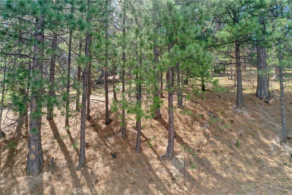 Running Springs, CA 92382,0 Pixie DR