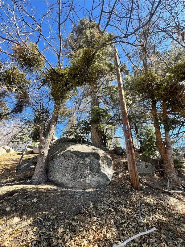Arrowbear, CA 92382,0 Woodland Ct