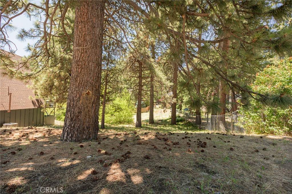 Running Springs, CA 92382,0 Ca-18