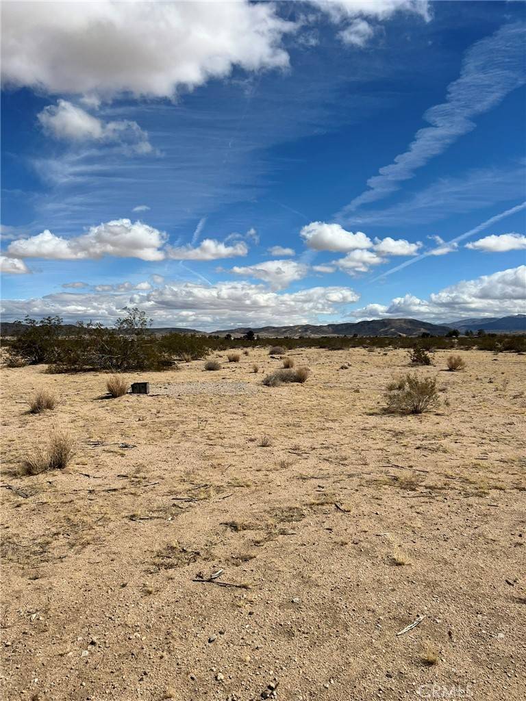 Joshua Tree, CA 92252,0 California AVE