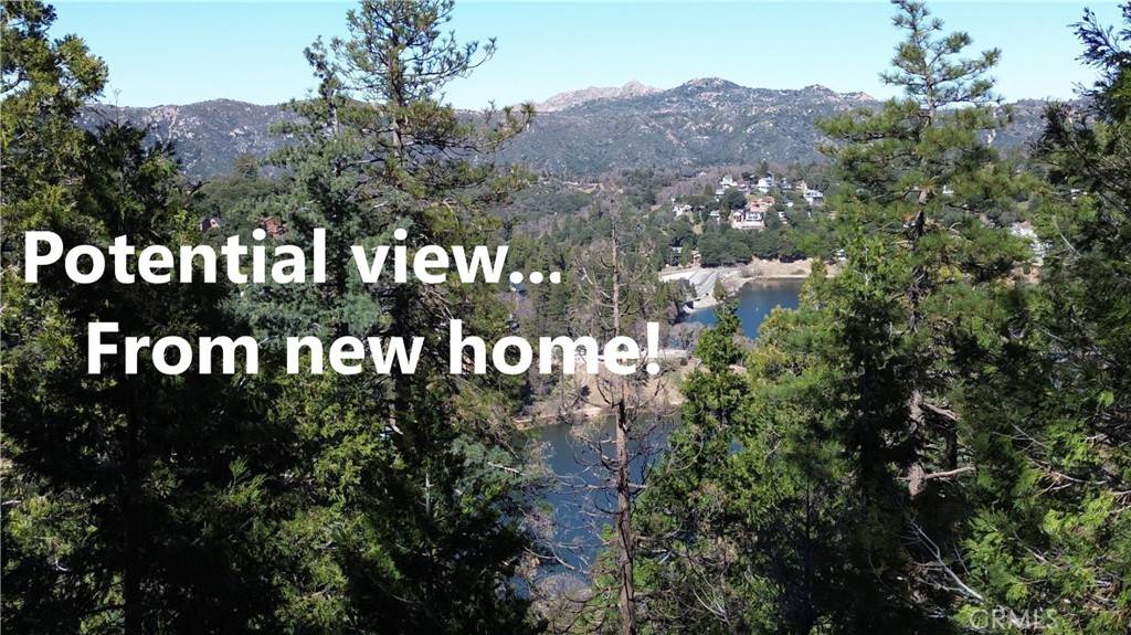 24200 Altdorf DR, Crestline, CA 92325