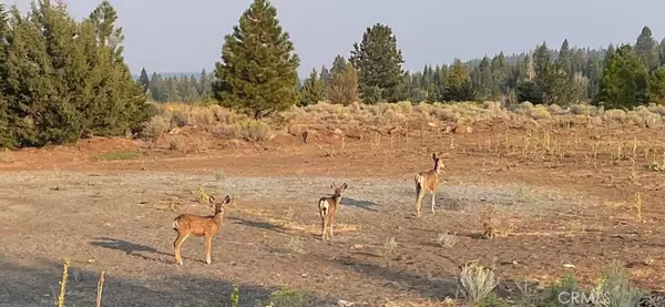 Alturas, CA 96101,0 Bobcat DR