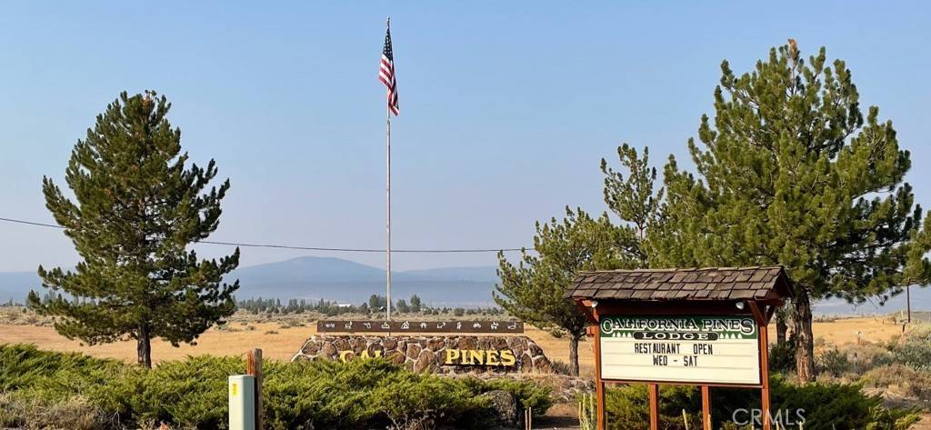 Alturas, CA 96101,0 Bobcat DR