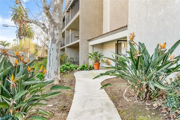 Redlands, CA 92373,254 E Fern AVE #207
