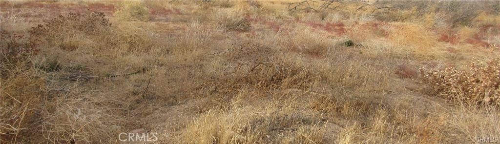 0 043-330-01-07-5 Twisselman RD, Lost Hills, CA 93249