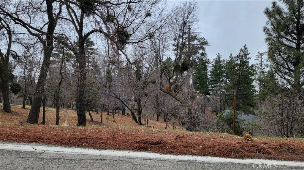 Running Springs, CA 92382,0 Winding WAY