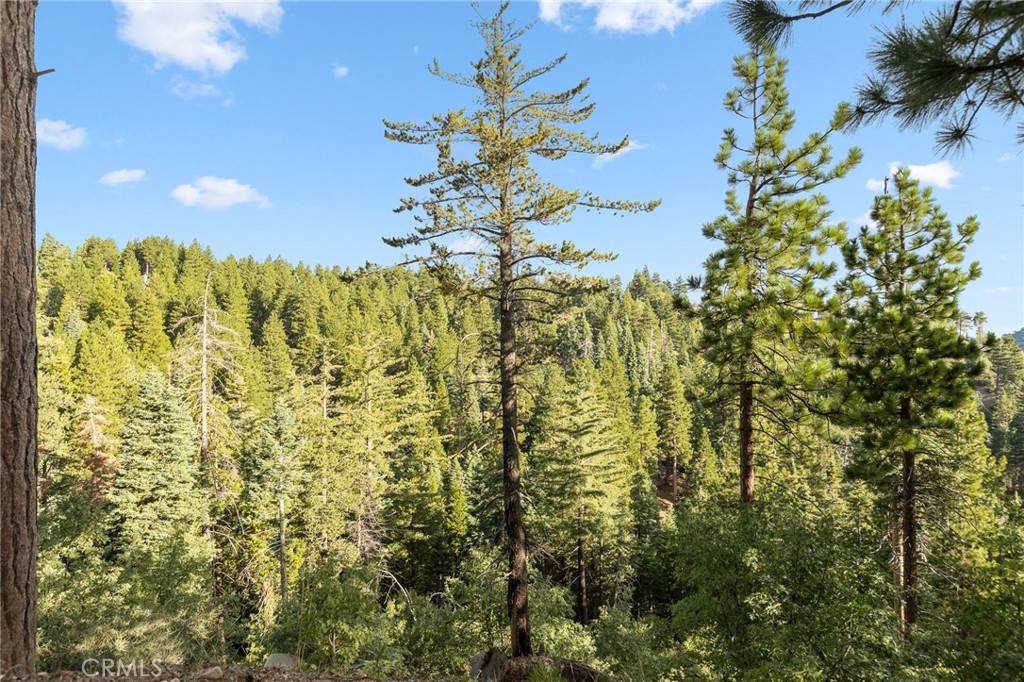 31721 Wagon Wheel DR, Running Springs, CA 92382