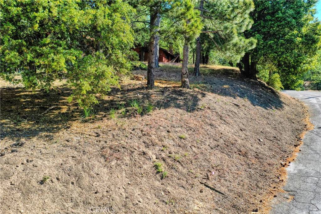 Running Springs, CA 92382,246 Lot Ferndale Dr