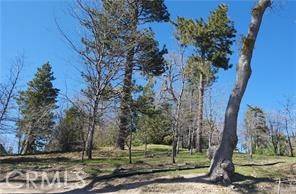 Running Springs, CA 92382,42 Park DR