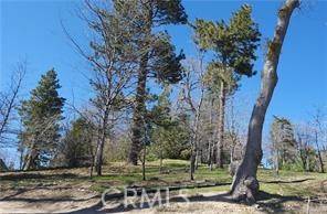 Running Springs, CA 92382,42 Park DR