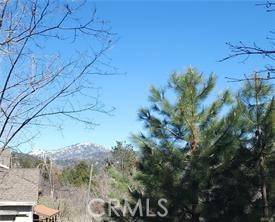 Running Springs, CA 92382,42 Park DR