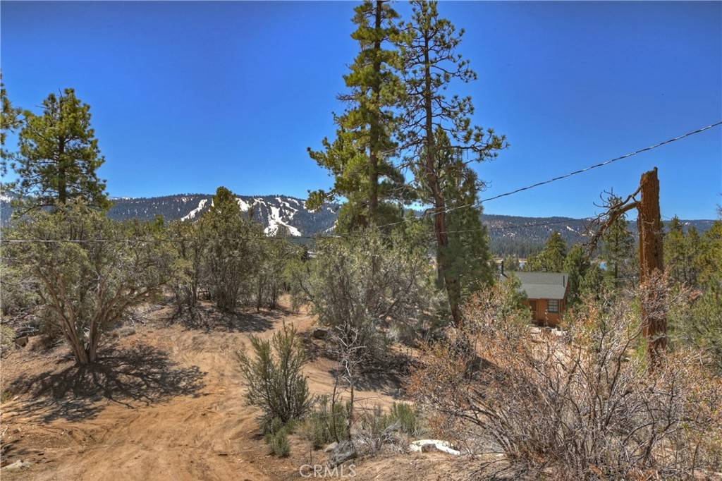 Fawnskin, CA 92333,55 Lakeview TRL