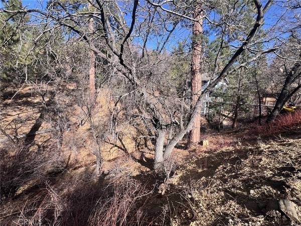 Big Bear City, CA 92314,1230 S Minton AVE