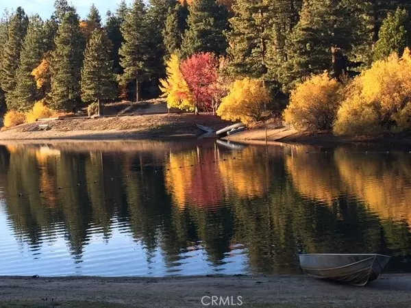 Green Valley Lake, CA 92341,33429 Robin DR