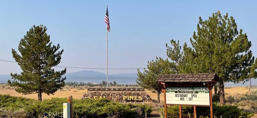 Alturas, CA 96101,0 Bridle RD