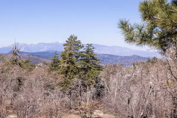 Green Valley Lake, CA 92341,32950 Canyon DR