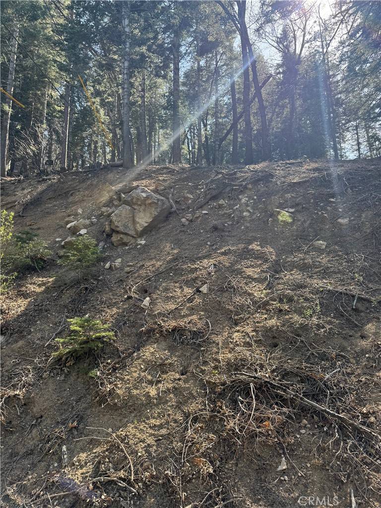 Lake Arrowhead, CA 92352,26537 Spyglass DR