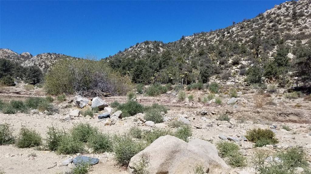 Pioneertown, CA 92268,0 Orion Trail