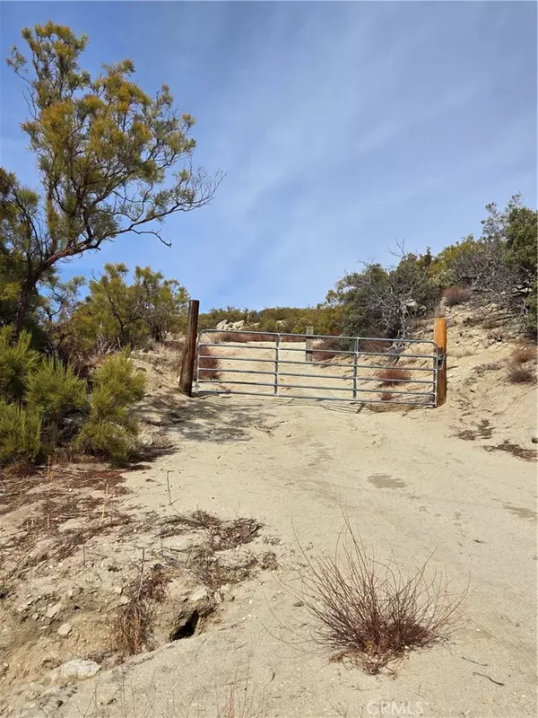 Anza, CA 92539,61400 Indian Paint Brush RD