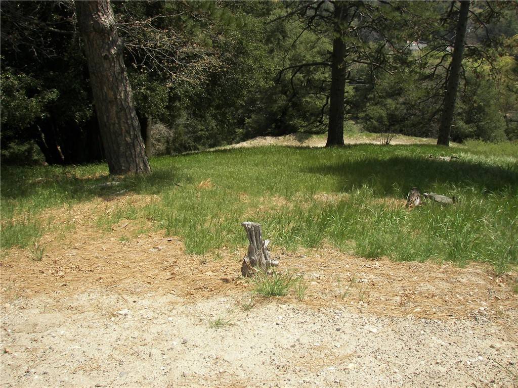 Cedarpines Park, CA 92322,21524 Crest Forest DR