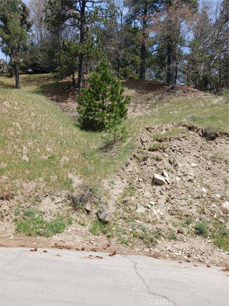 Cedarpines Park, CA 92322,21858 Fern Canyon RD