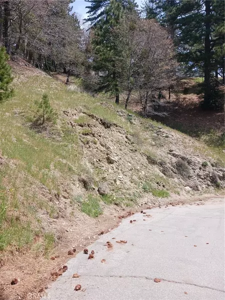21858 Fern Canyon RD, Cedarpines Park, CA 92322