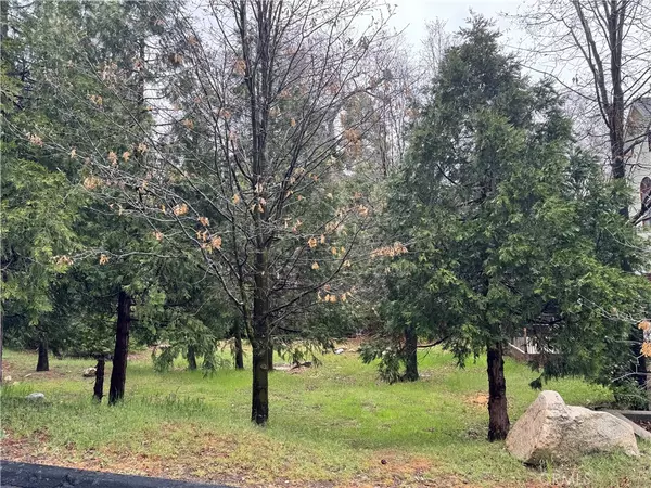 Lake Arrowhead, CA 92352,27525 Meadow Bay DR