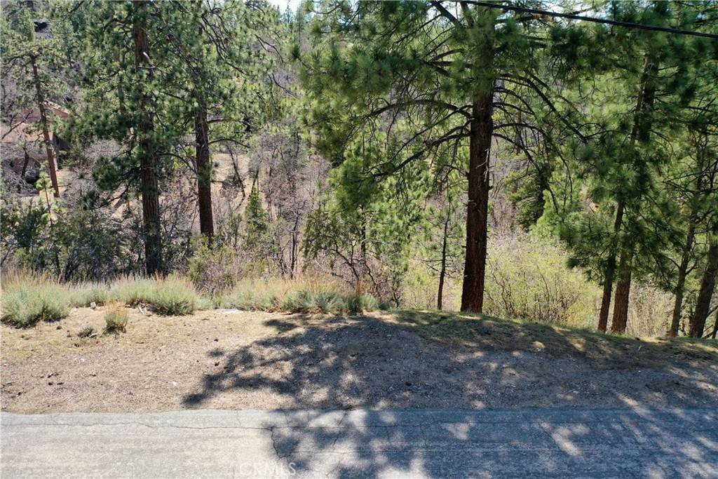 Big Bear City, CA 92314,0 Villa Grove AVE