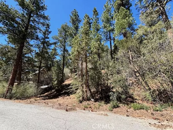 Big Bear City, CA 92314,0 E Rainbow BLVD