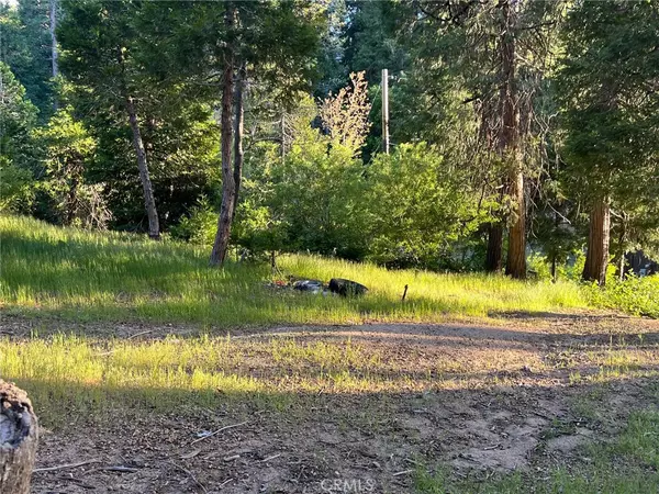 Cedar Glen, CA 92321,29038 Terrace